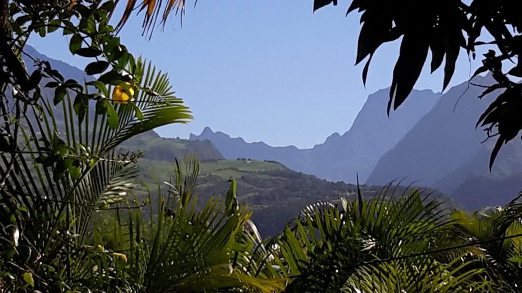 La Villa Des Palmes Bois d'Olive Exteriör bild